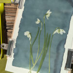 CYANOTYPE-TOI ET CYANOTYPE LE CAFE !