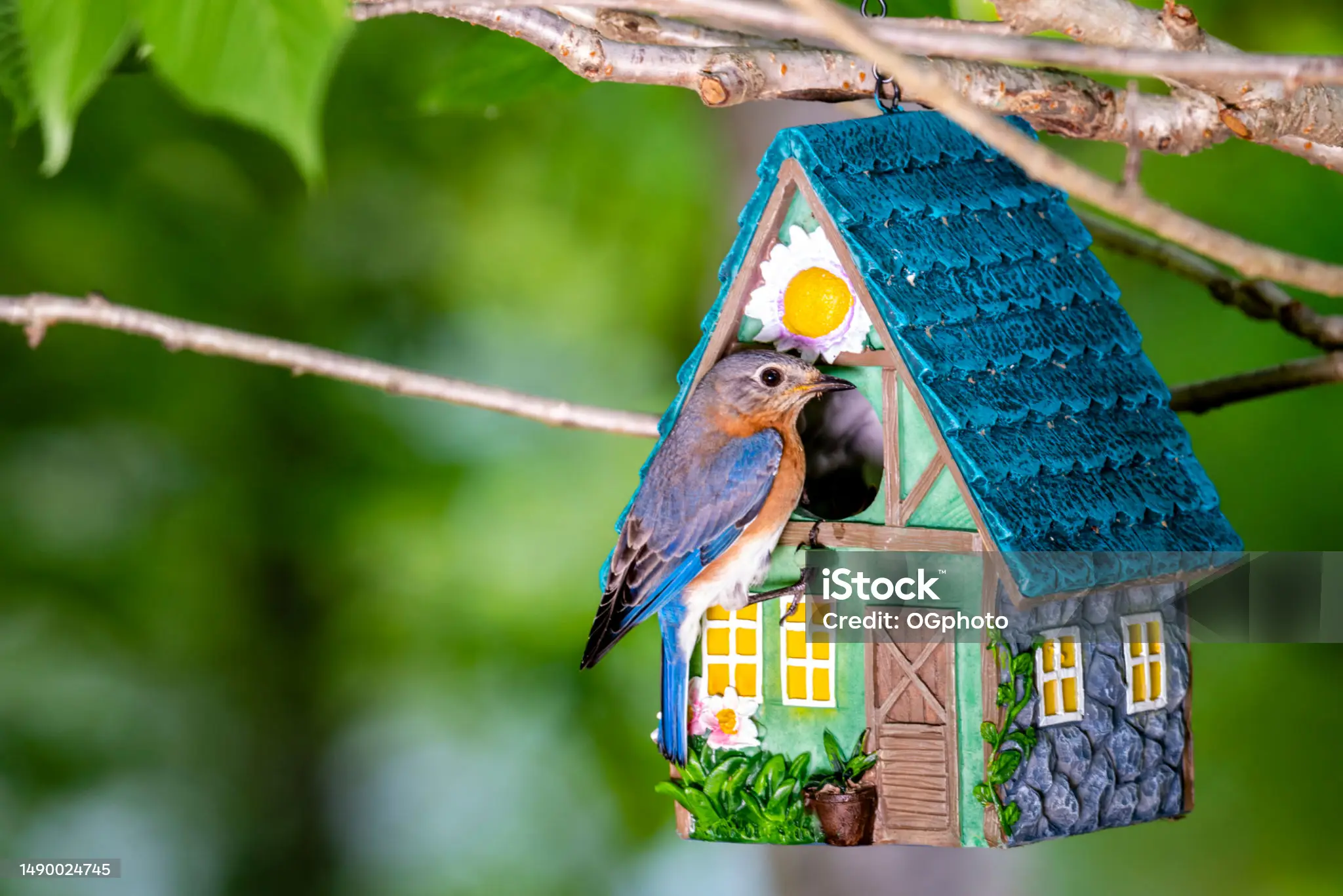 Atelier créatif : Cabane à oiseaux