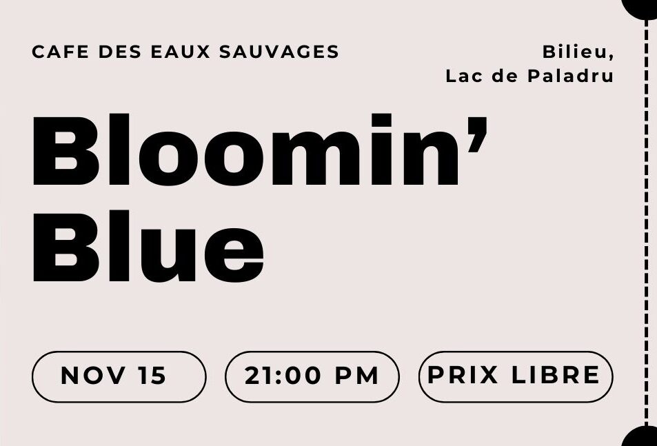 CONCERT Bloomin' Blue