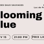 CONCERT Blooming Blue