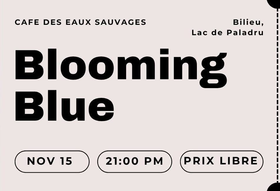 CONCERT Blooming Blue