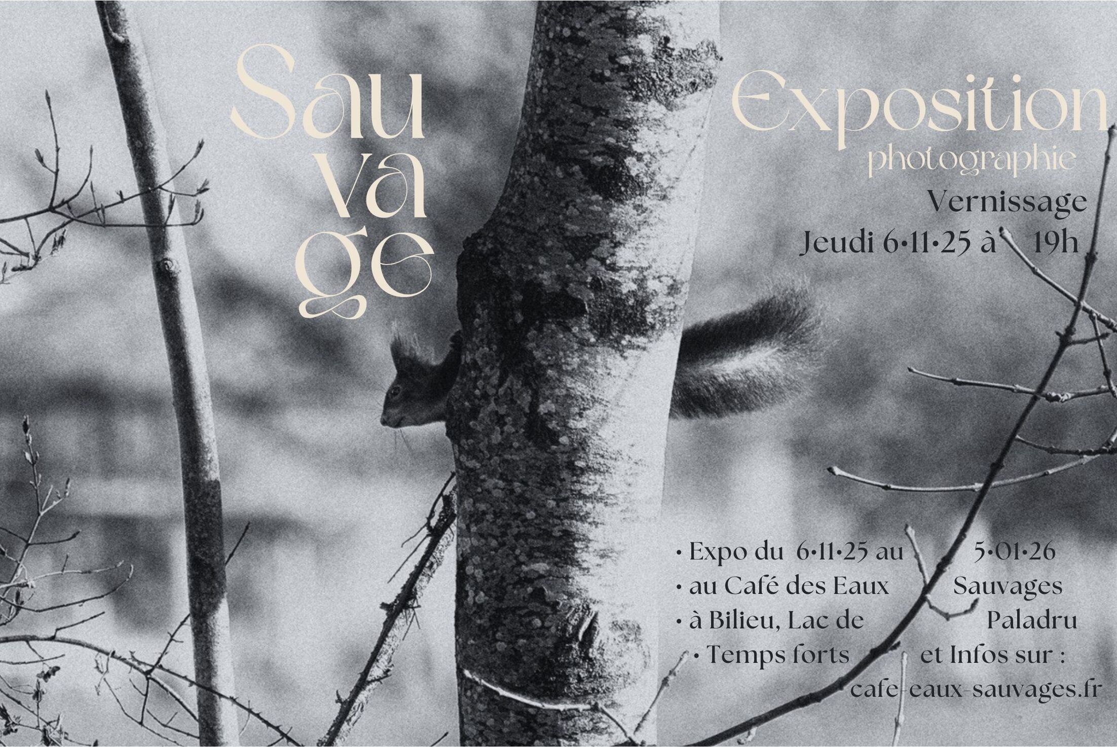 Vernissage / EXPOSITION SAUVAGE du 6.11.25 au 5.01.26