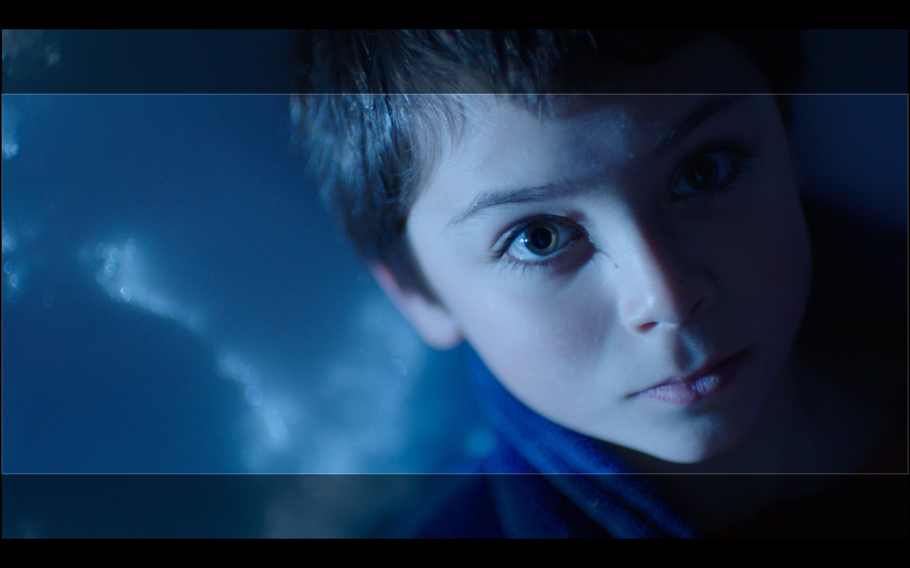 Atelier photographes en herbe